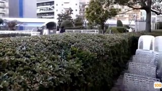 长安轿车小主播线下感恩榜一大哥（全套完整版视频已上传至下面平台）